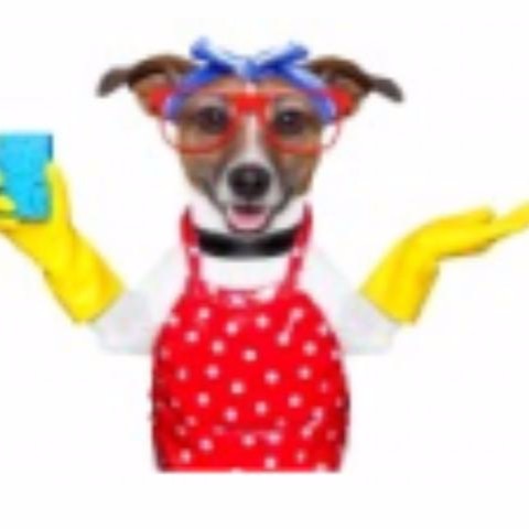 Logo for Cara's Housecleaning